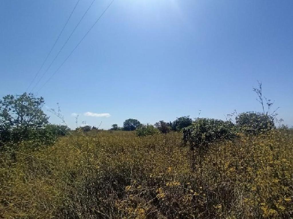 Field-Ineia-PR14448