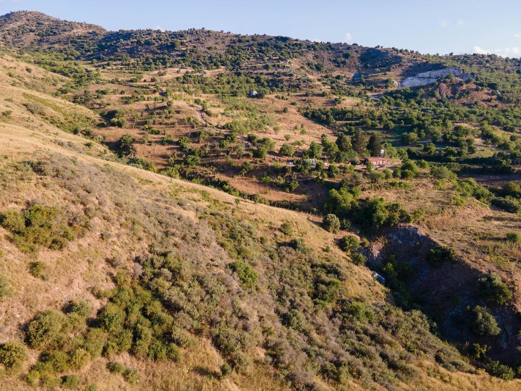 Field-Episkopi-PR34706