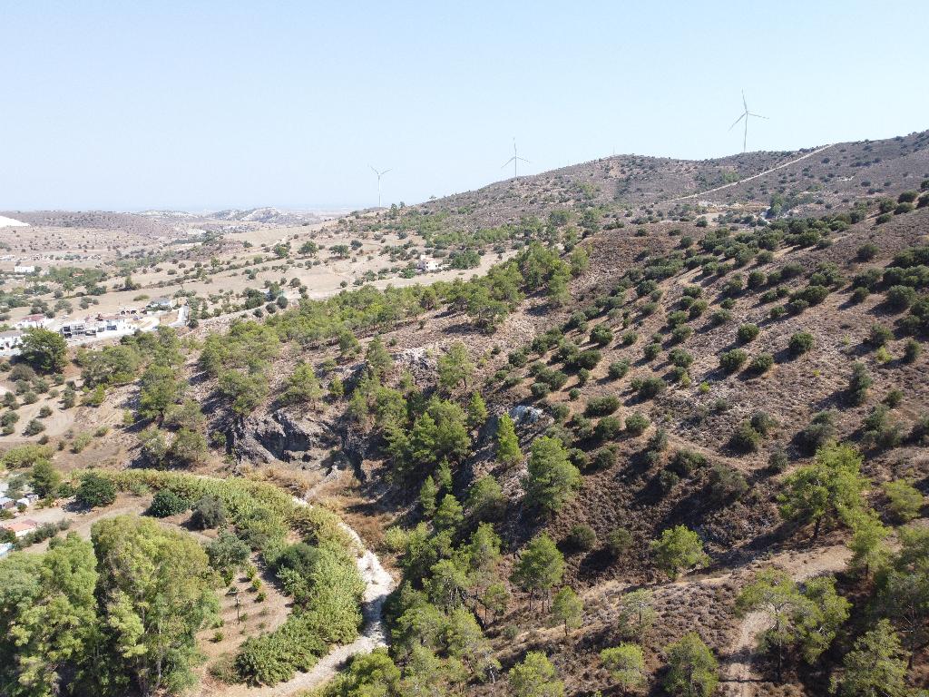 Field - Agia Anna, Larnaca