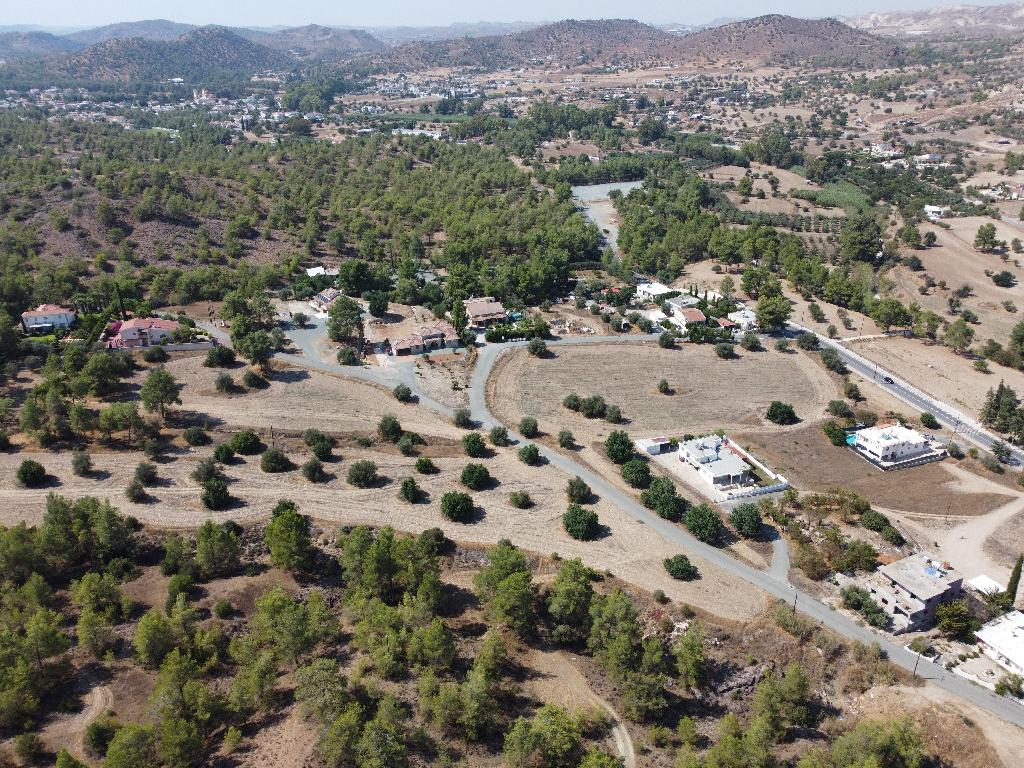 Field - Agia Anna, Larnaca