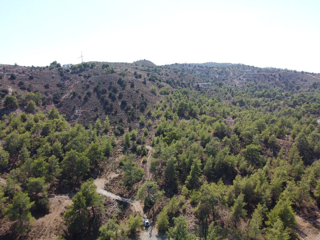 Field - Agia Anna, Larnaca