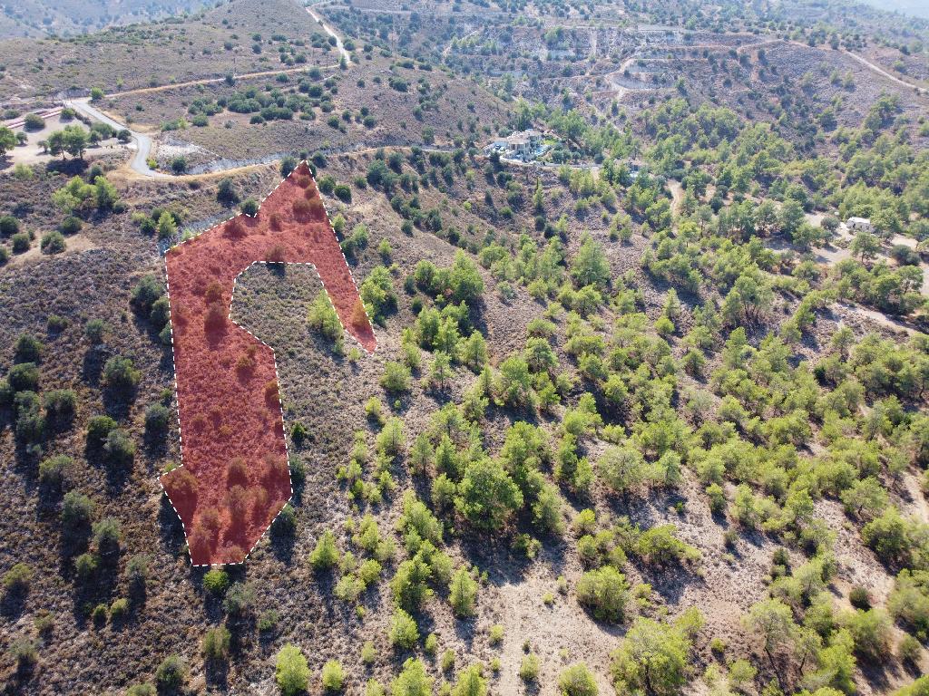 Field - Agia Anna, Larnaca