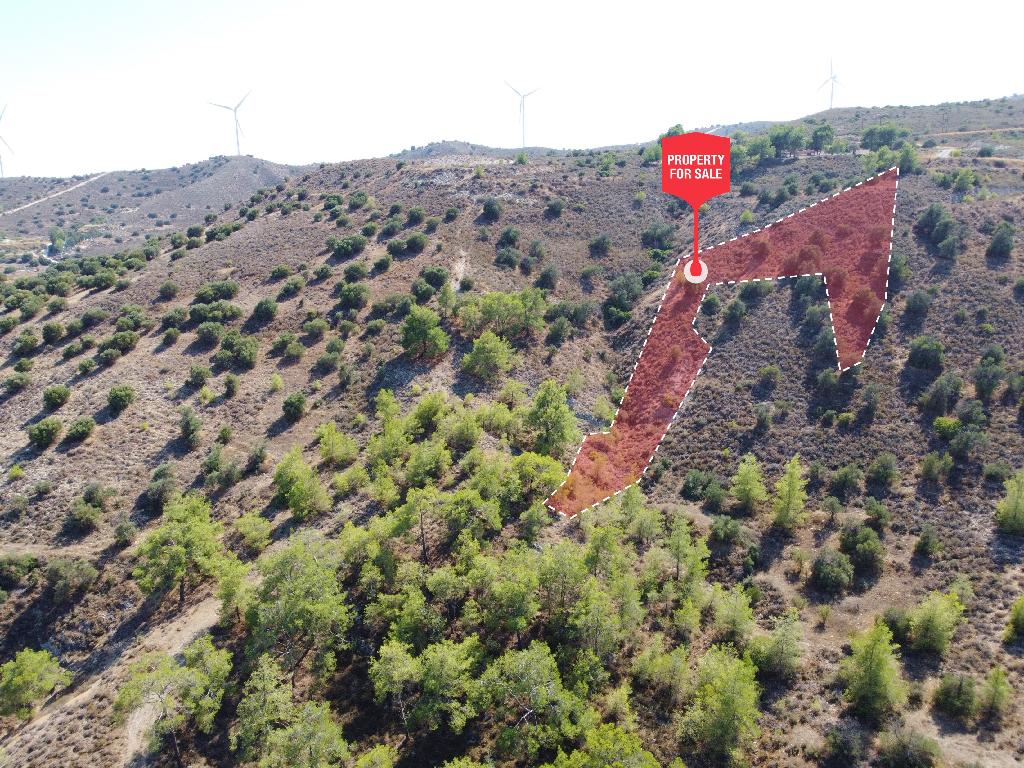 Field - Agia Anna, Larnaca