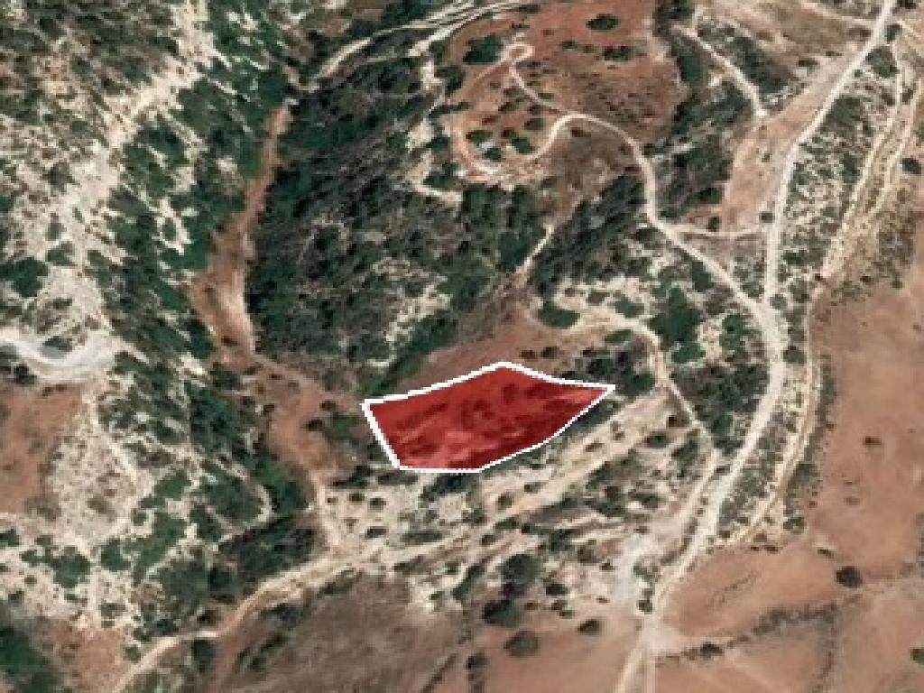 Field-Pegeia-PR36187