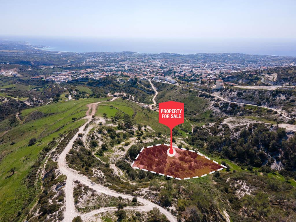 Field-Pegeia-PR36187