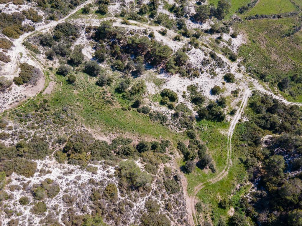Field-Pegeia-PR36187