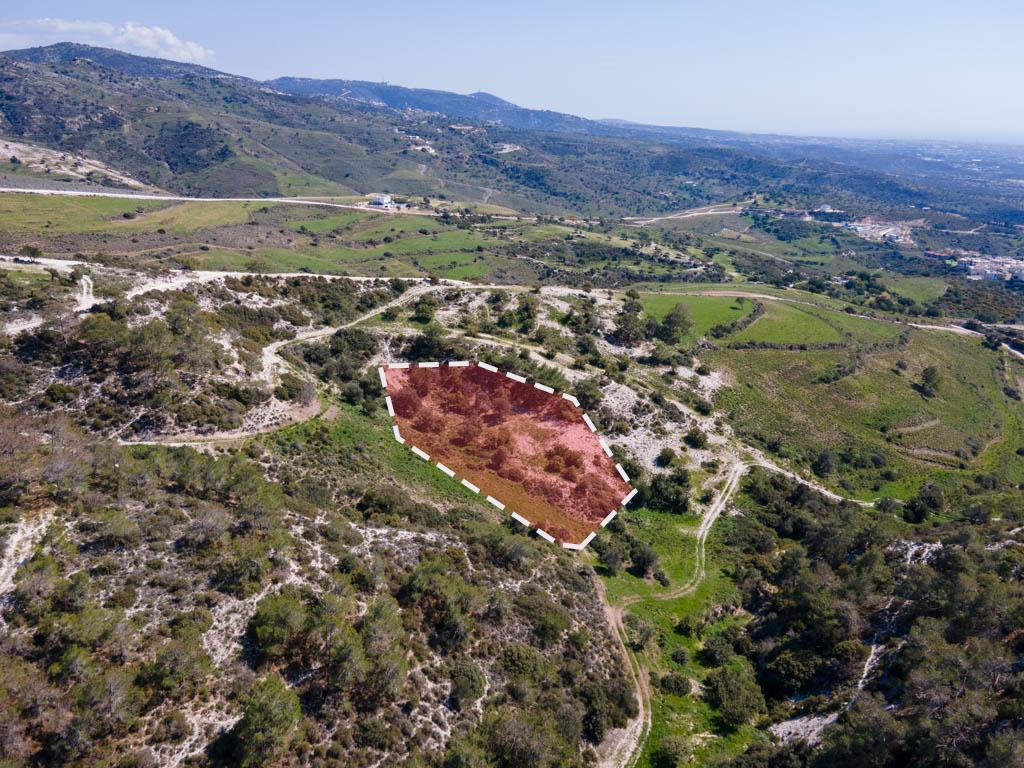Field-Pegeia-PR36187