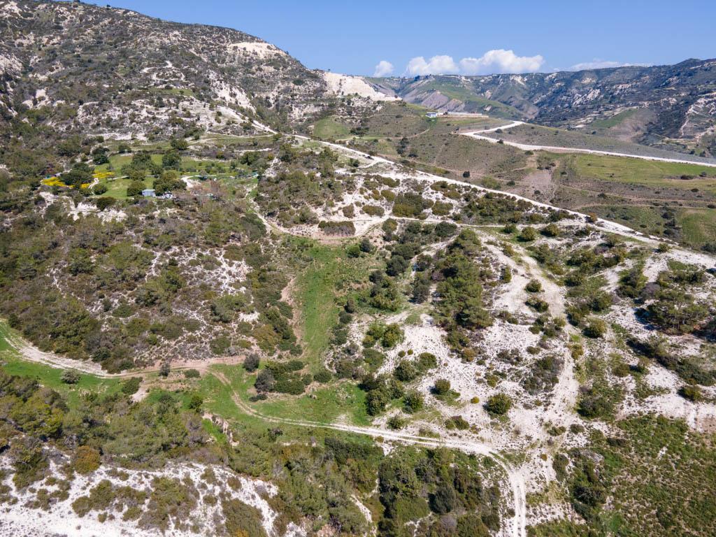 Field-Pegeia-PR36187