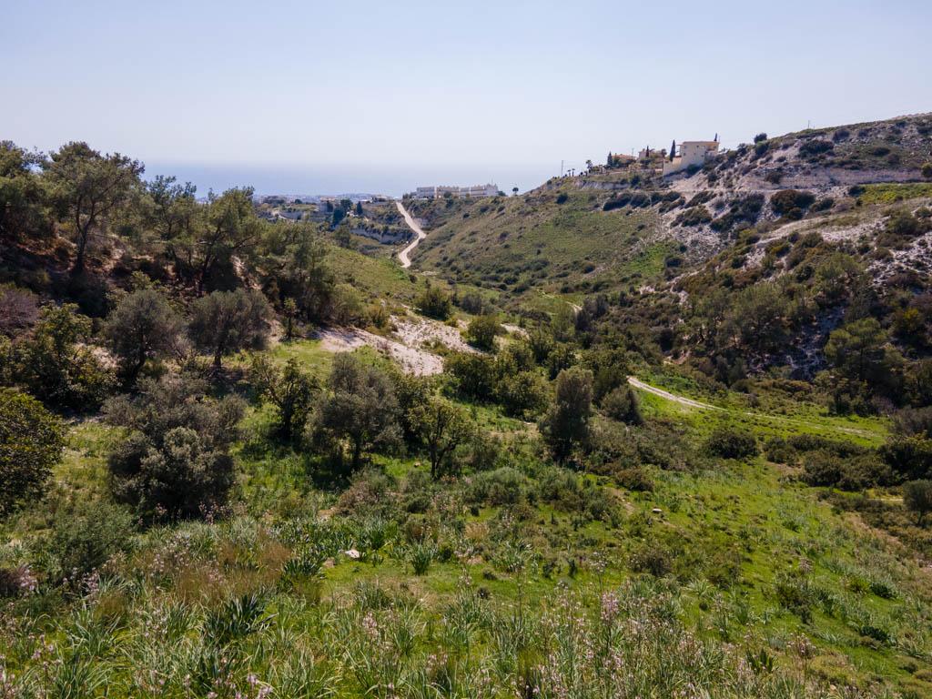 Field-Pegeia-PR36187