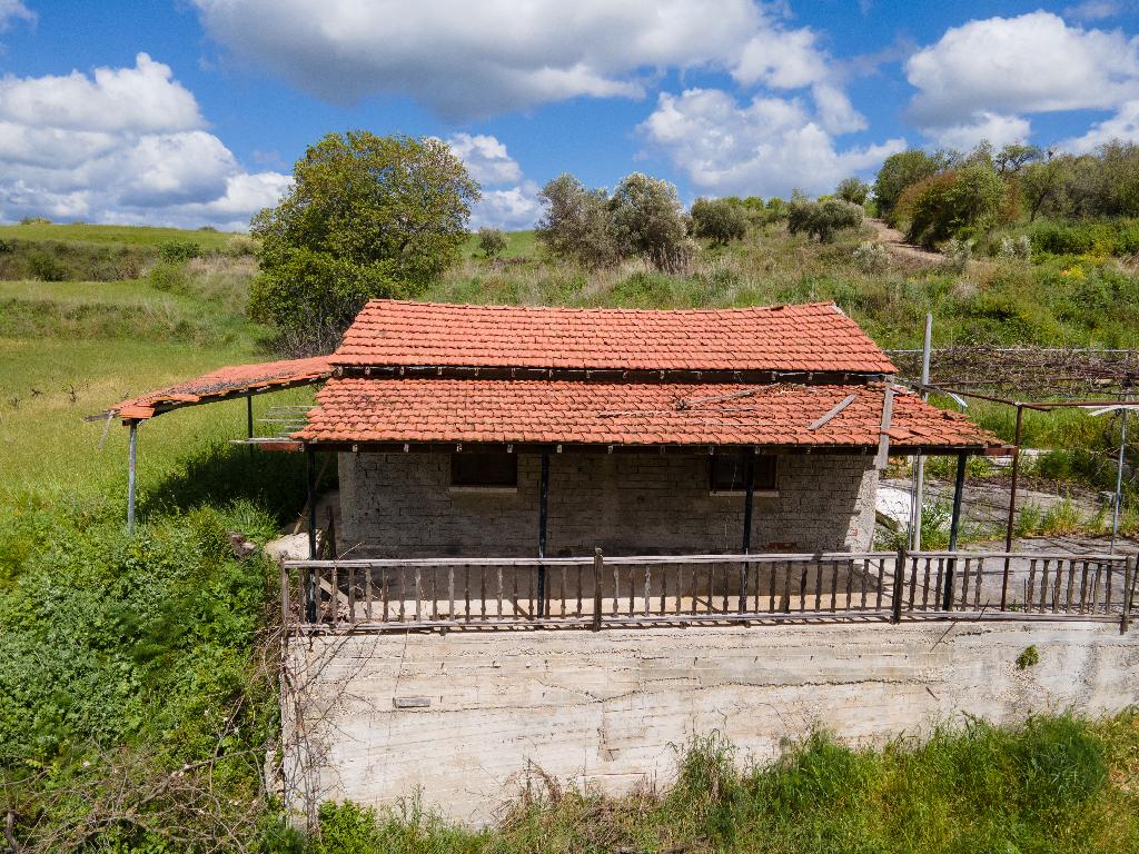 Χωράφι-Θελέτρα-PR36685