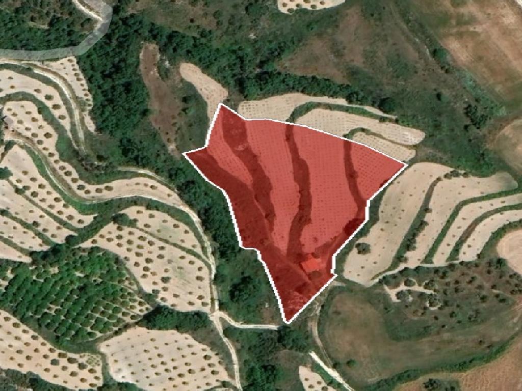 Χωράφι-Θελέτρα-PR36685