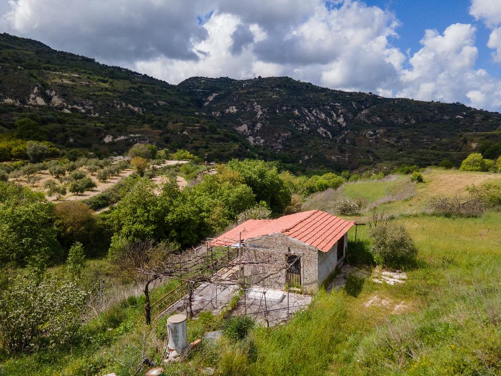 Χωράφι-Θελέτρα-PR36685