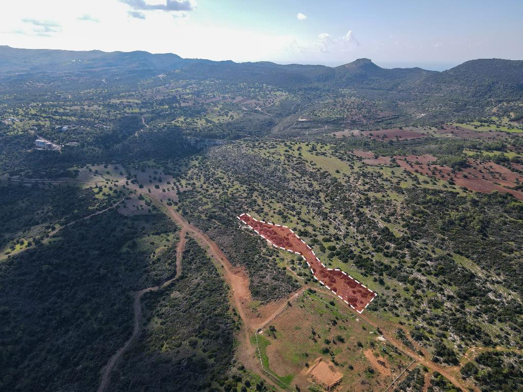 Field-New Chorio-PR36844