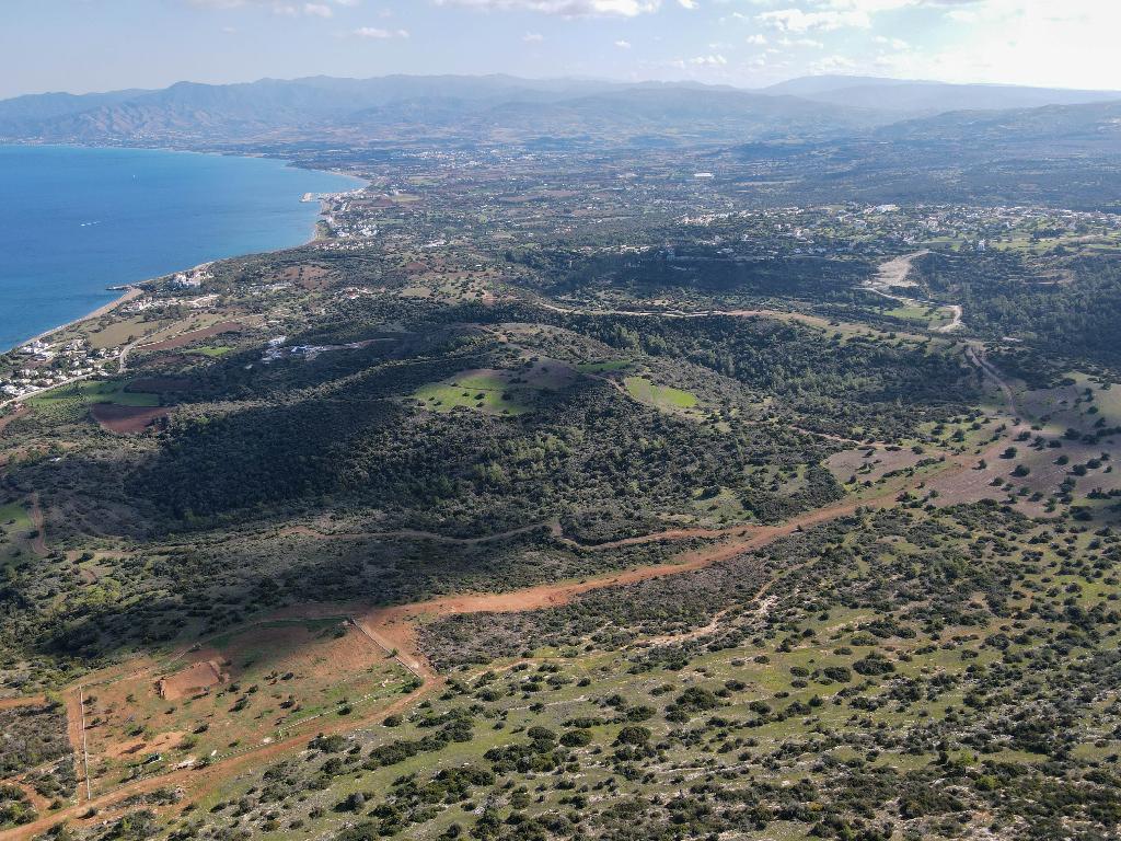 Field-New Chorio-PR36844