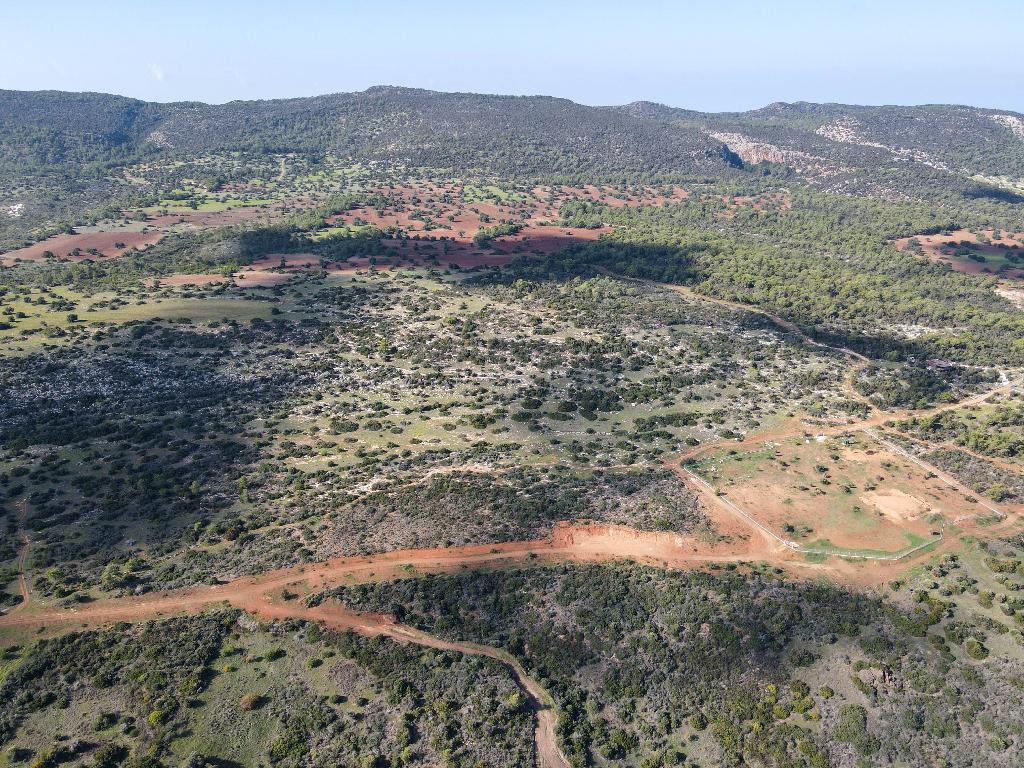 Field-New Chorio-PR36844