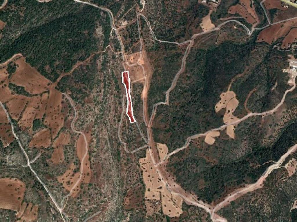 Field-New Chorio-PR36844