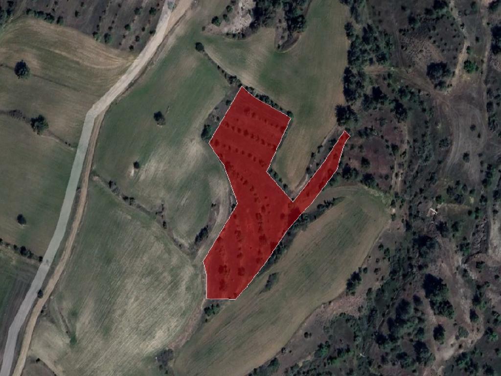 Field - Agios Georgios Kafkalou, Nicosia