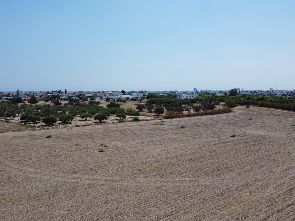 Field-Livadia-PR38311