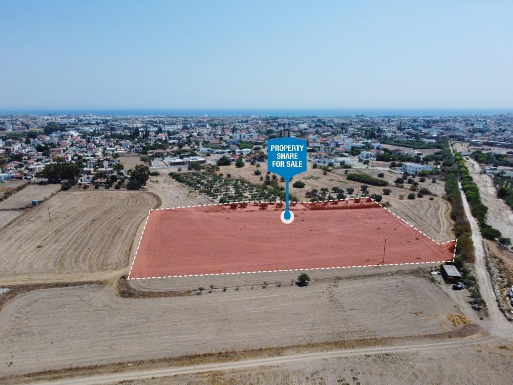 Field-Livadia-PR38311
