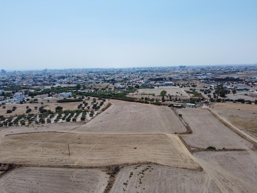 Field-Livadia-PR38311