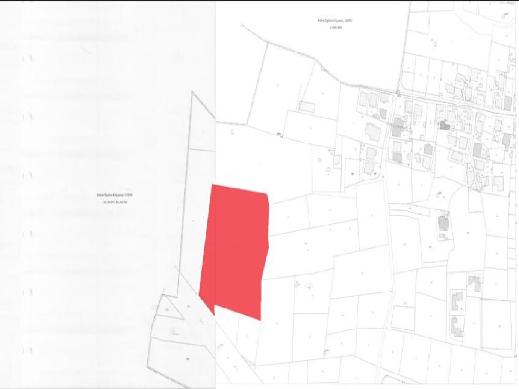 Field-Livadia-PR38311