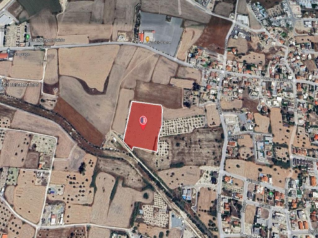 Field-Livadia-PR38311