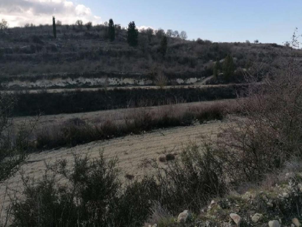 Field-Kathikas-PR38246
