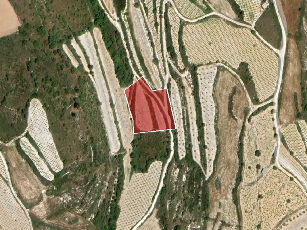 Field-Kathikas-PR38246