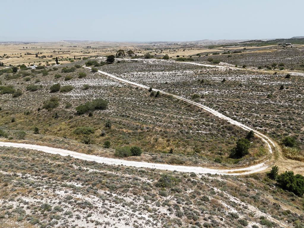 Field-Dali-PR40466