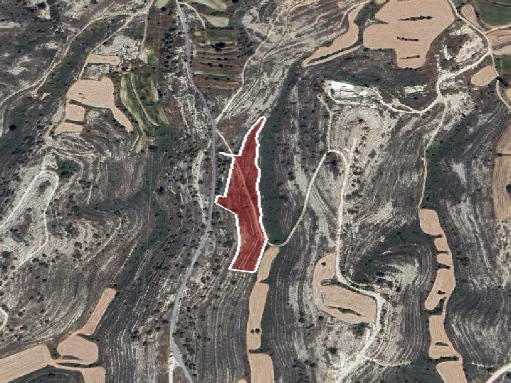 Field-Dali-PR40466