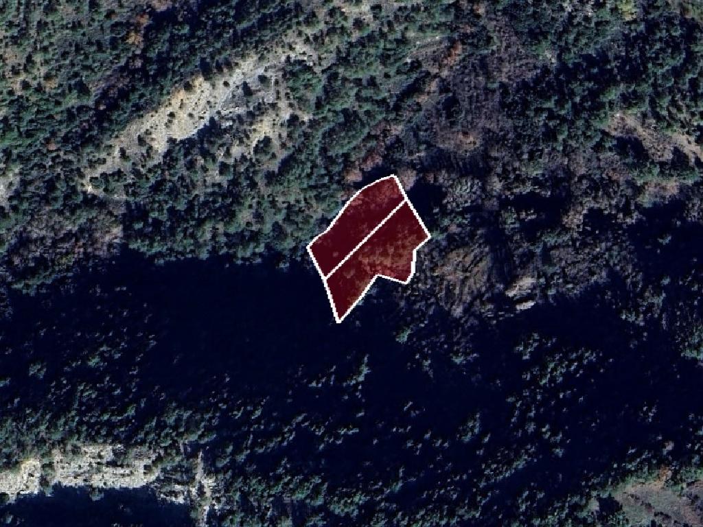 Field-Prodromos-CP10044