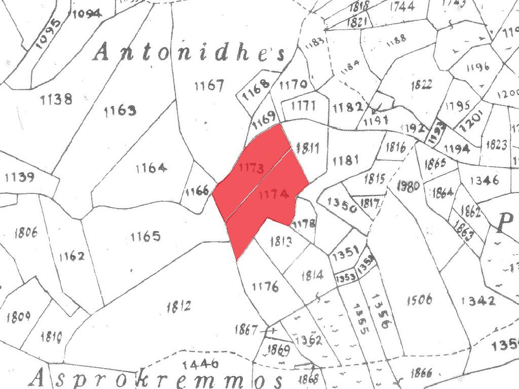 Field-Prodromos-CP10044