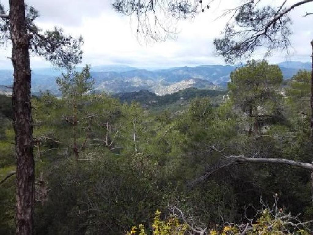 Field-Prodromos-CP10044