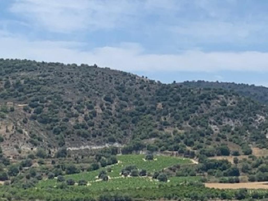 Field-Kannaviou - Melamiou-PR41303