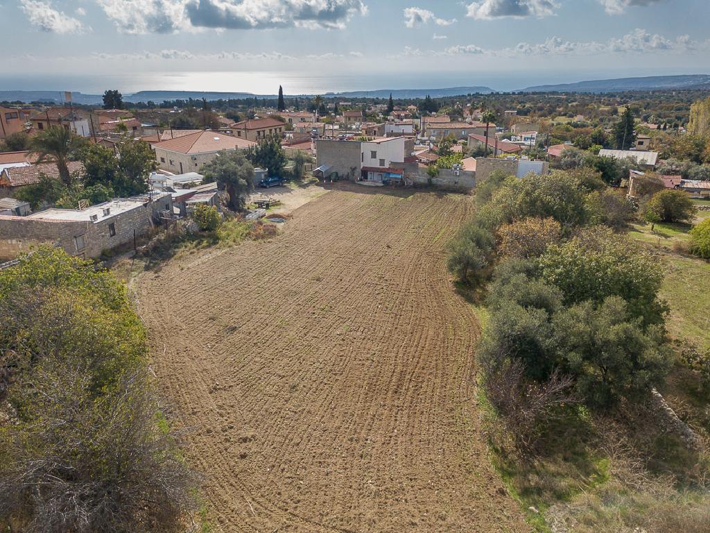 Field-Anogira-PR41612