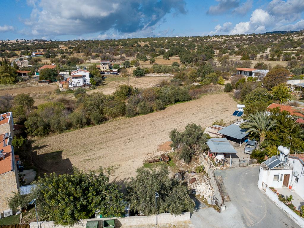 Field-Anogira-PR41612