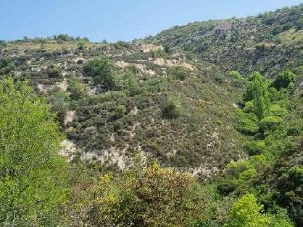Field - &Alpha;rsos, Limassol