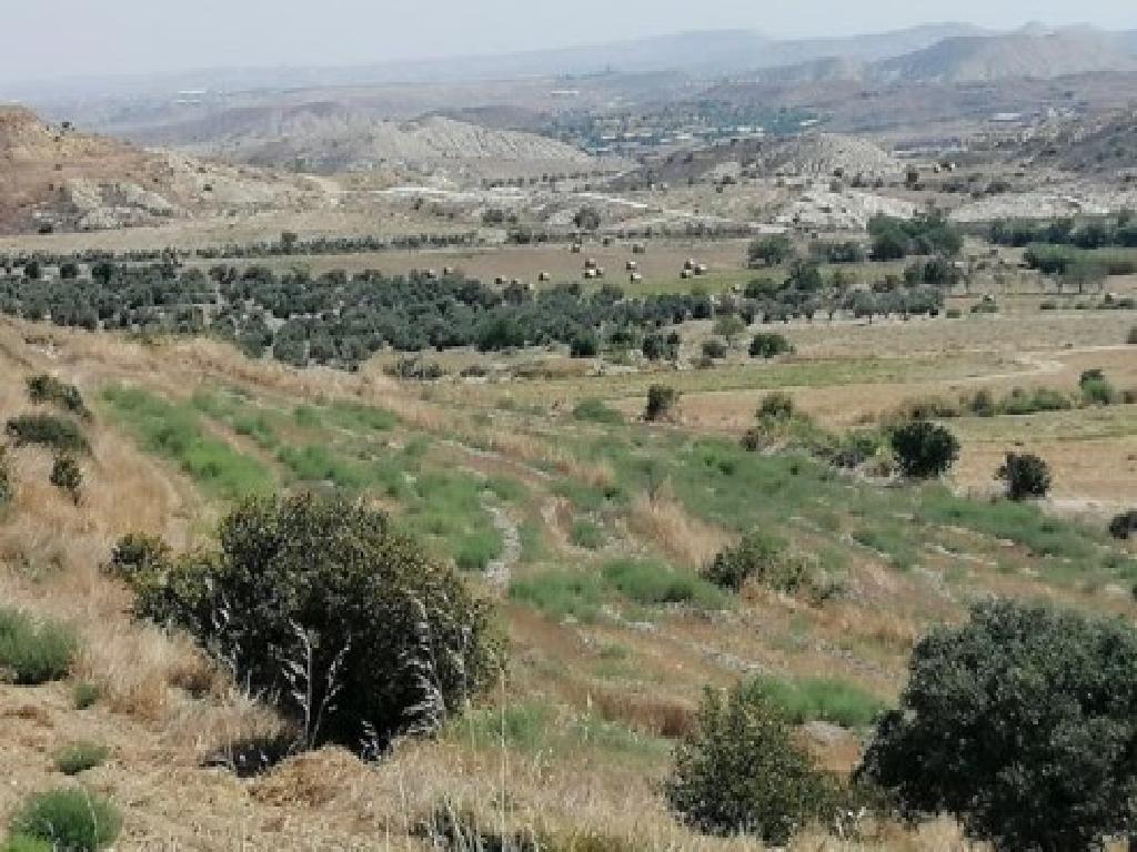 Field - Pera, Nicosia