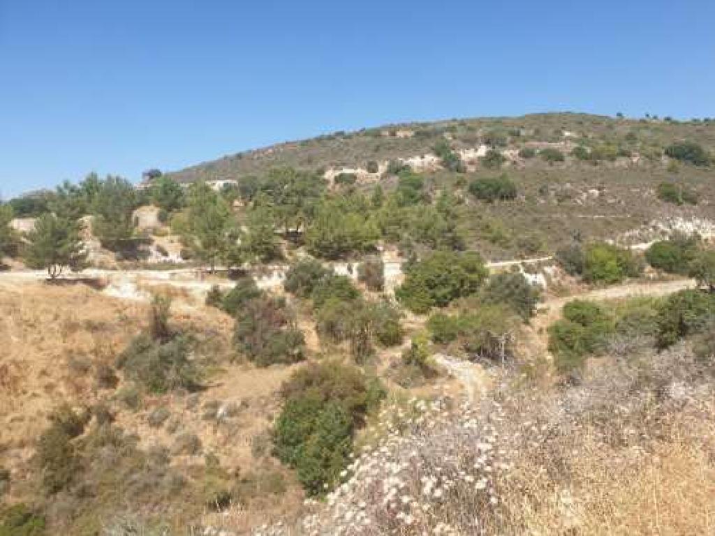 Field - Kato Drys, Larnaca