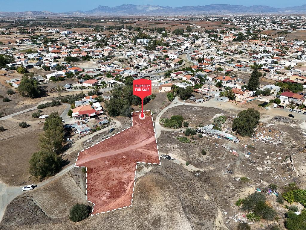 Field-Paleometocho-PR35003