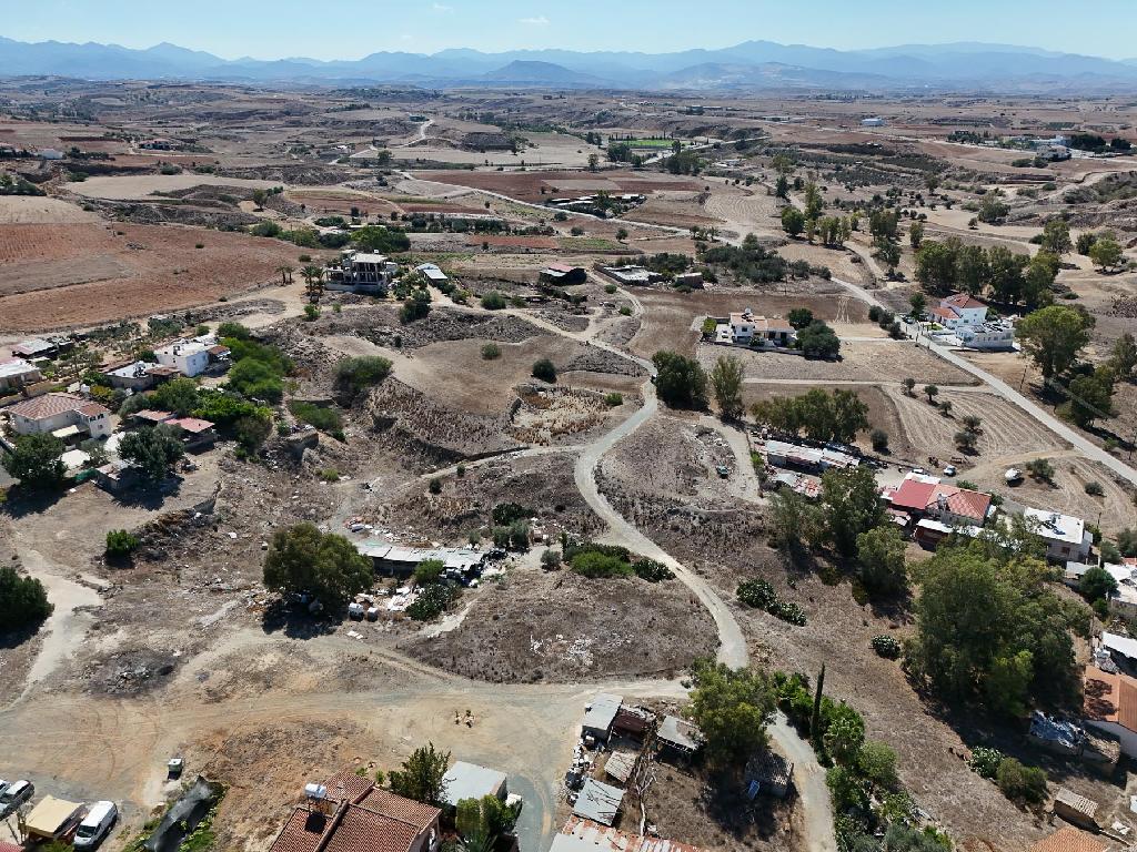 Field-Paleometocho-PR35003