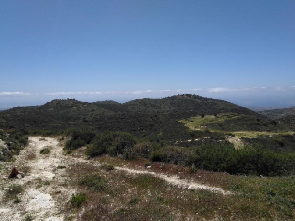 Field-Akoursos-PR36132