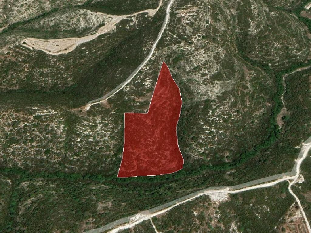 Field-Akoursos-PR36132