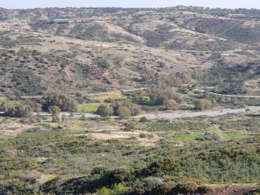 Field-Kato Pyrgos-PR37099