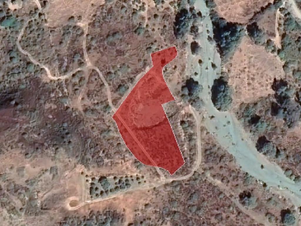 Field-Kato Pyrgos-PR37099