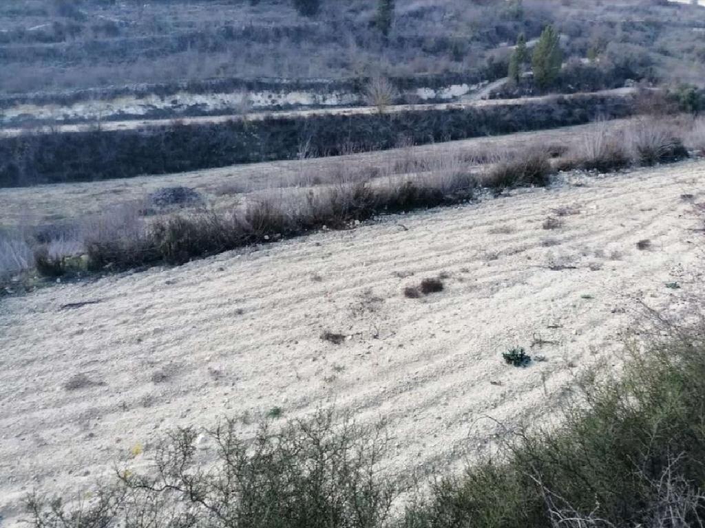 Field-Kathikas-PR38245