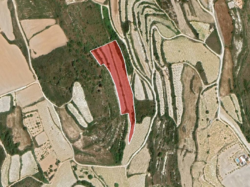 Field-Kathikas-PR38245