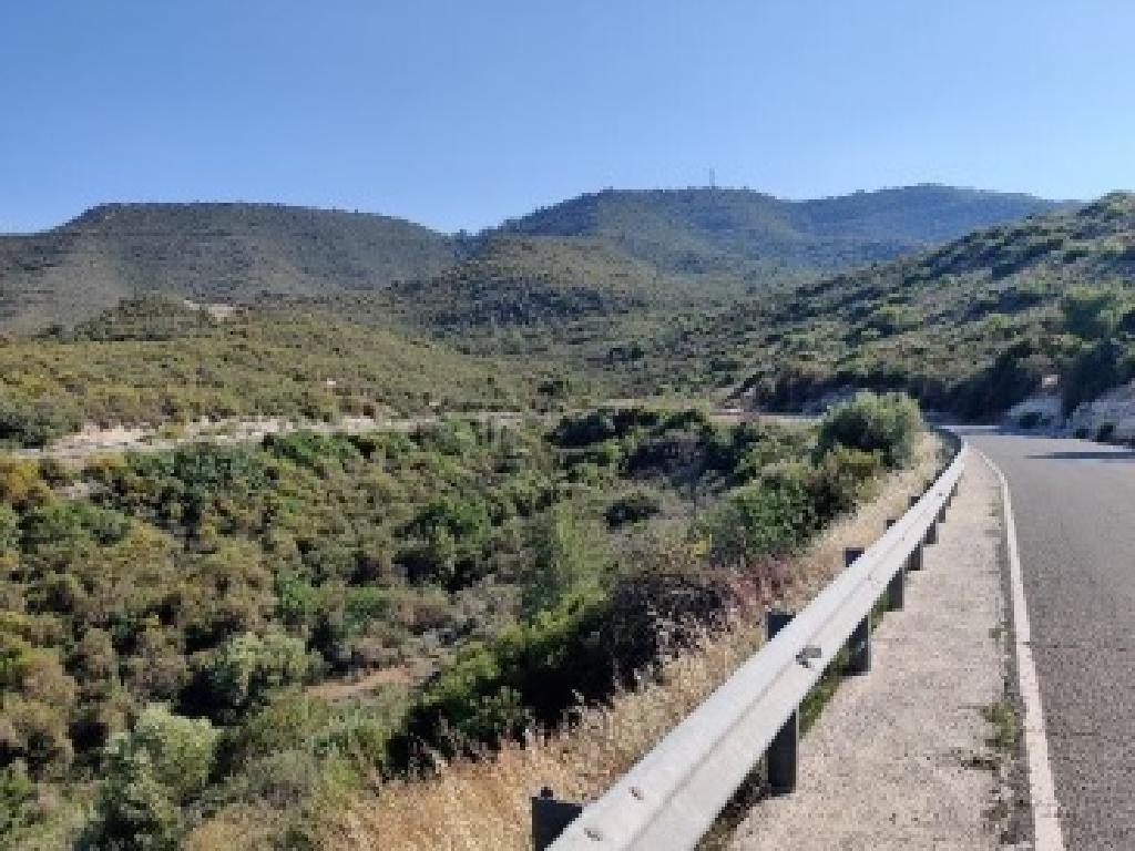 Field-Agios Therapon-PR38600