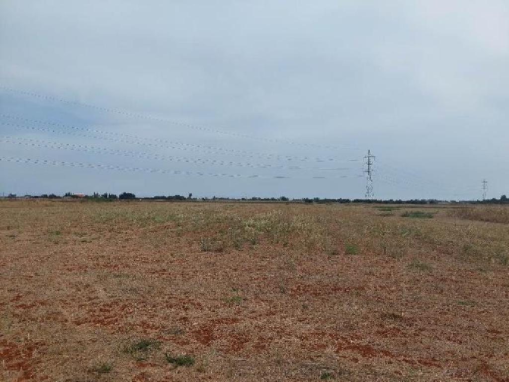 Field-Avgorou-PR39728