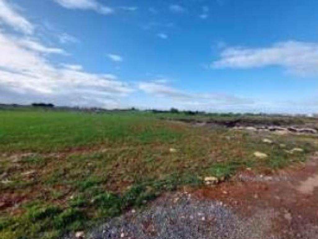 Field-Sotira-PR40055